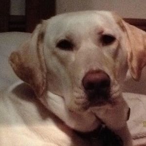 Meet your Posher, Johanna